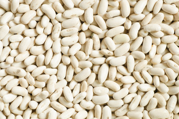 white bean seeds