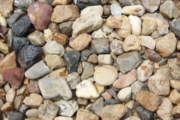 Building in the gardens.