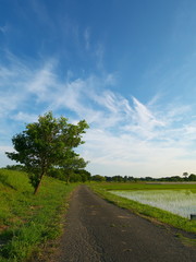 青空と田園風景