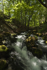 Obraz premium mountain river 