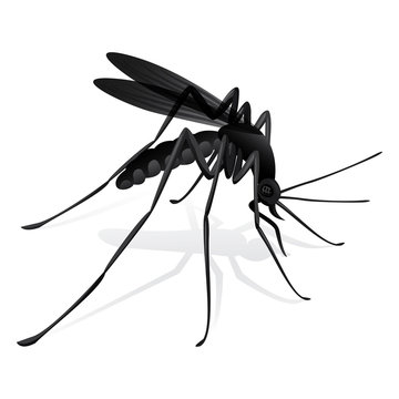 Nature, mosquitoes stilt disease transmitter