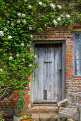 Old Wooden Door Framed by White Roses