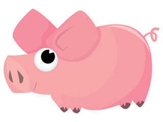 Cute Pig