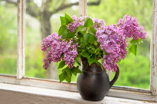 Fototapeta Lush bouquet of lilac in a brown clay vase on a window sill