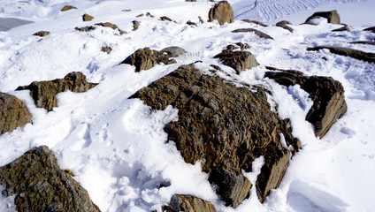 close up snow and rock