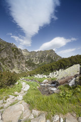 Fototapeta na wymiar Rapid stream flowing through the mountain valley