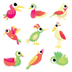 Cartoon Bird Collection