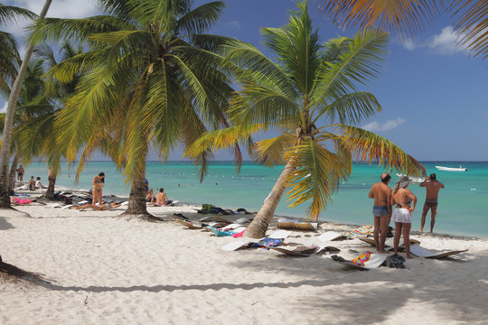 Tropical beach on Caribbean Islands. Isla Saona, Dominicana