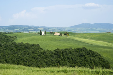 Obraz premium Countryside, San Quirico d`Orcia, Tuscany, Italy