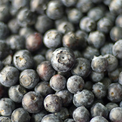 Blueberries berry.