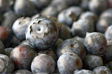 Blueberries berry.