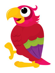 Cartoon Parrot