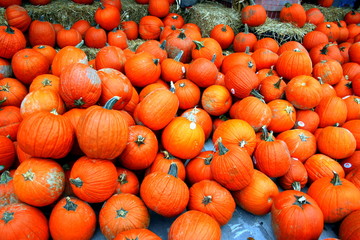 Pumpkins