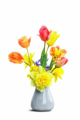 bunch of tulip flowers and daffodils in glass vase, isolated on