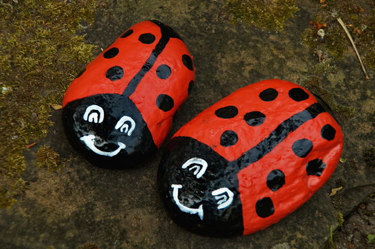 Steink&auml;fer