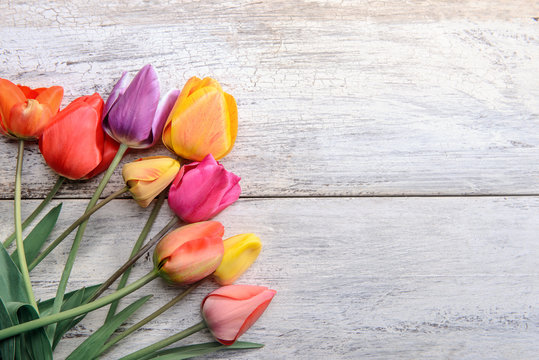 fresh tulips arranged on old wooden background 