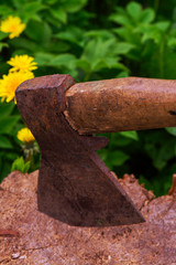 Old rusty axe stuck in log, selective focus. Toned image