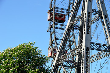 Wiener Riesenrad mit blühendem Kastanienbaum
