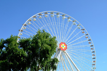 Blumenrad im Wiener Prater