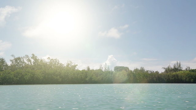 jetty near ile aux cerf with mangroves nature reserve on a sunny day