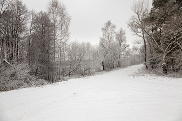 Obraz premium the winter road 
