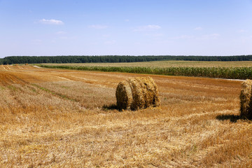 straw stack  