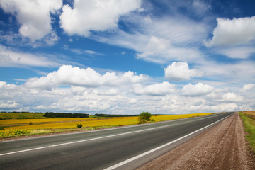 Road through the yellow sunflower field