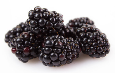 Fresh blackberry
