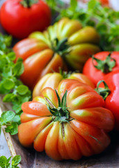 Pomodori Cuore di Bue