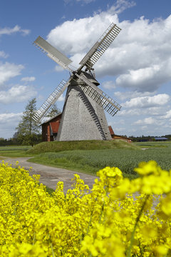 Windm&uuml;hle Bierde (Petershagen) mit Rapsfeld