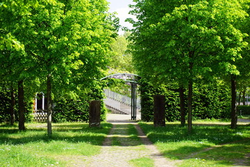 Treppe im Park bei Sonnenschein