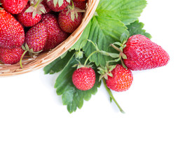strawberries on a white background
