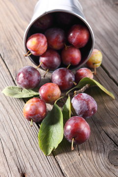 Fresh plums in bucket