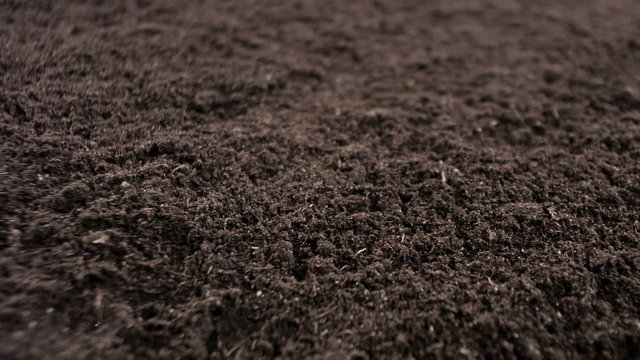Farm soil background