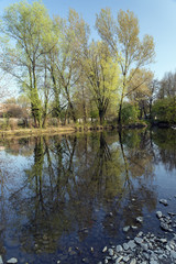 Fototapeta na wymiar Monza Park: Lambro river