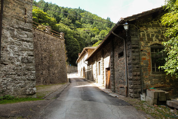 Fototapeta na wymiar Camaldoli , strada sotto le mura del monastero