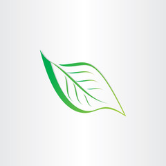 green stylized leaf icon design