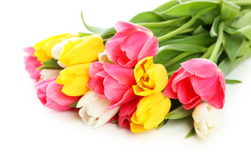 Beautiful tulips on white background