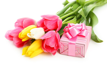 Fototapeta premium Beautiful tulips on white background