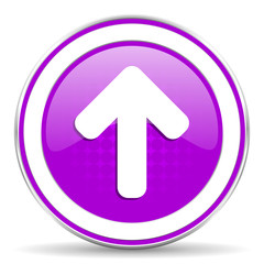 up arrow violet icon arrow sign