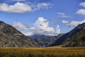 Gold field on the background of mountains and sky