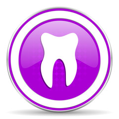 tooth violet icon