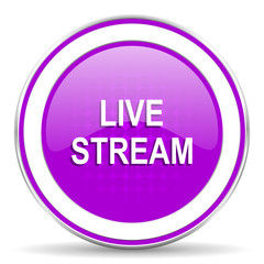 live stream violet icon