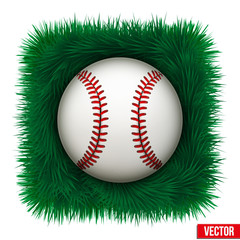 Icon Baseball ball in green grass. Vector Illustration