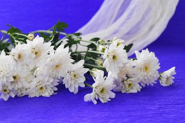 Bouquet of chrysanthemums on a blue background
