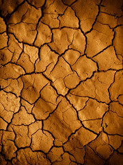 Cracked earth in dry desert
