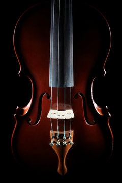Violin closeup