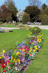 fleurs aux jardin de l'Orangerie - Strasbourg