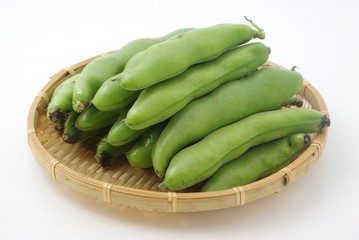 ソラマメ