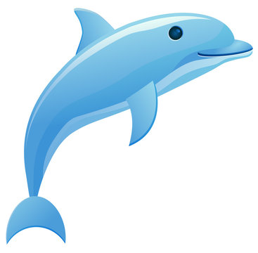 Dolphin jumping vector image